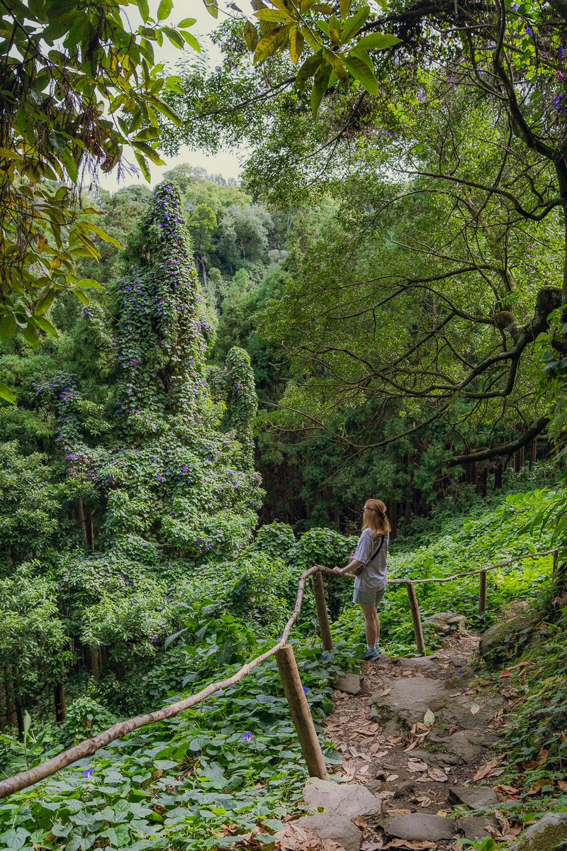 Widok na krajobraz podczas zwiedzania Sao Miguel