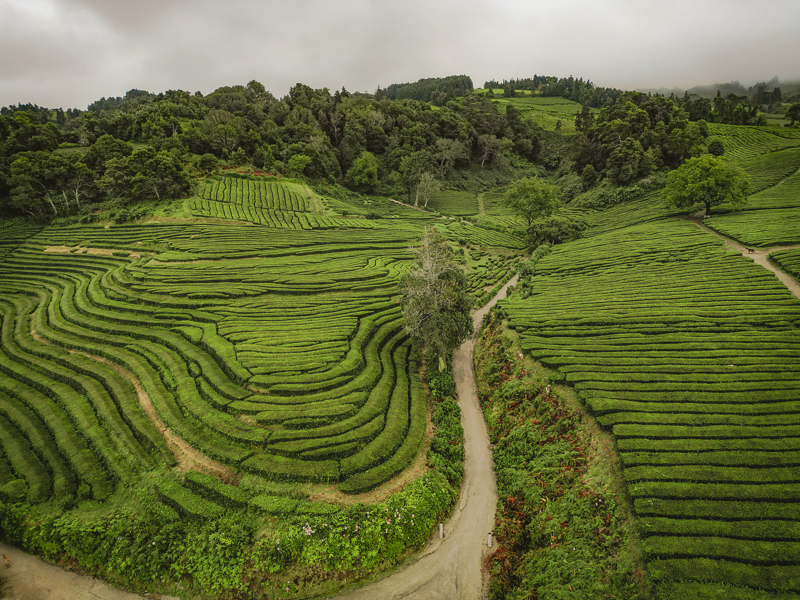 Atrakcje Sao Miguel
