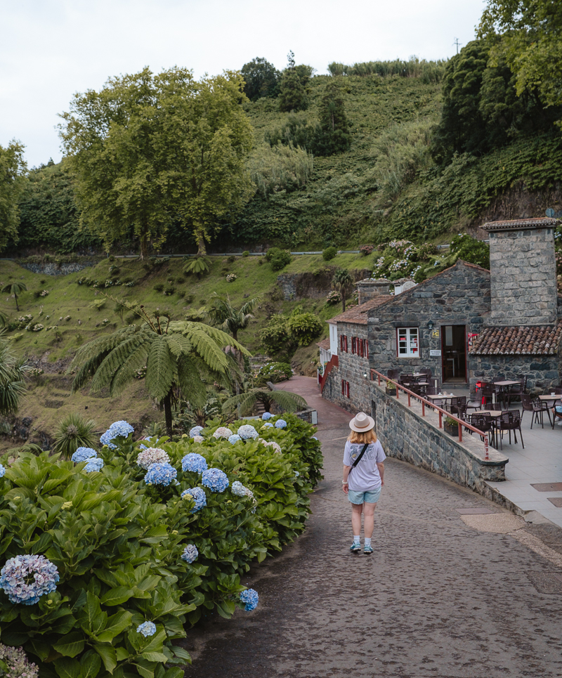 Ogrody hortensji w parku Ribeira dos Caldeiroes